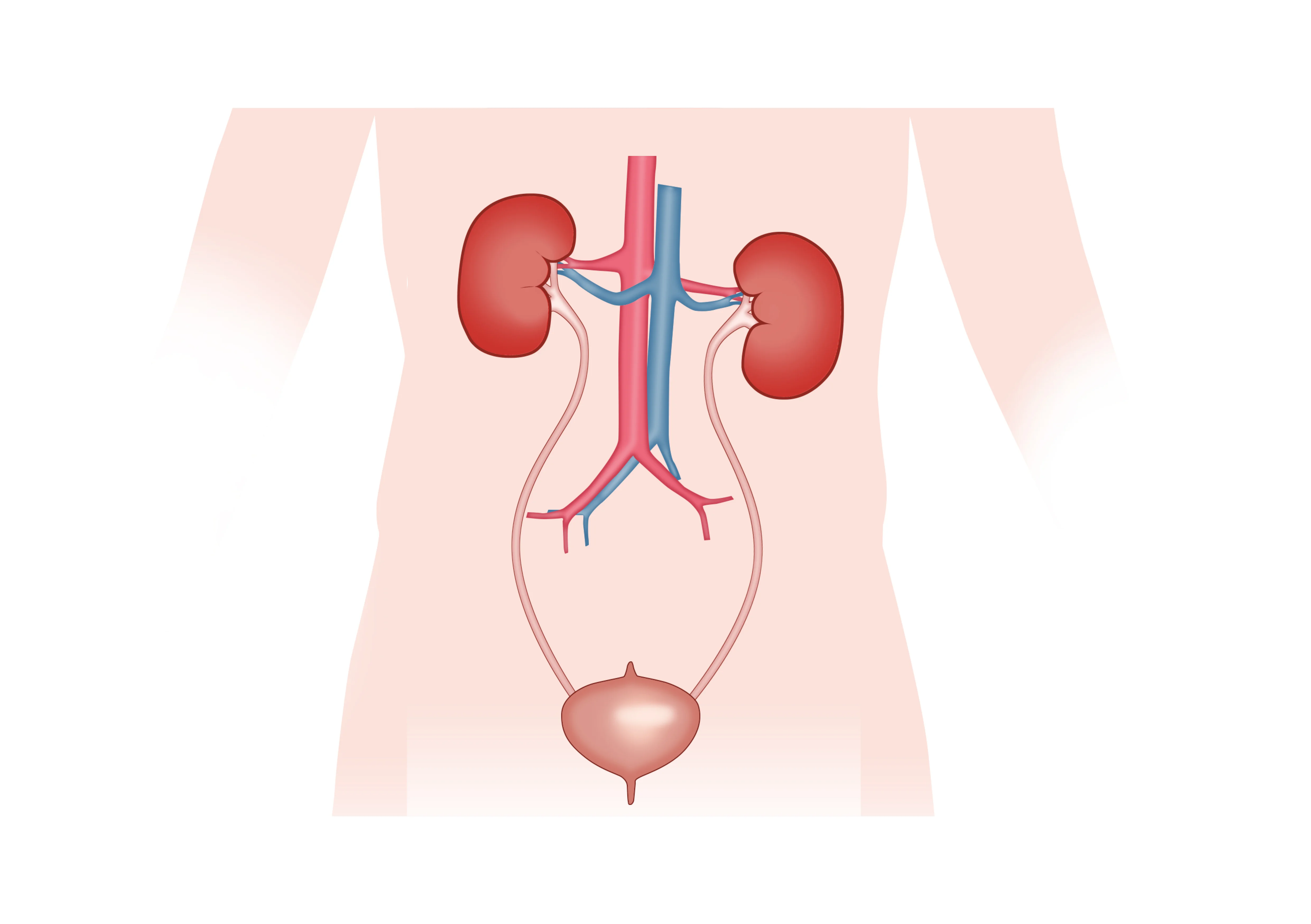 diagramma