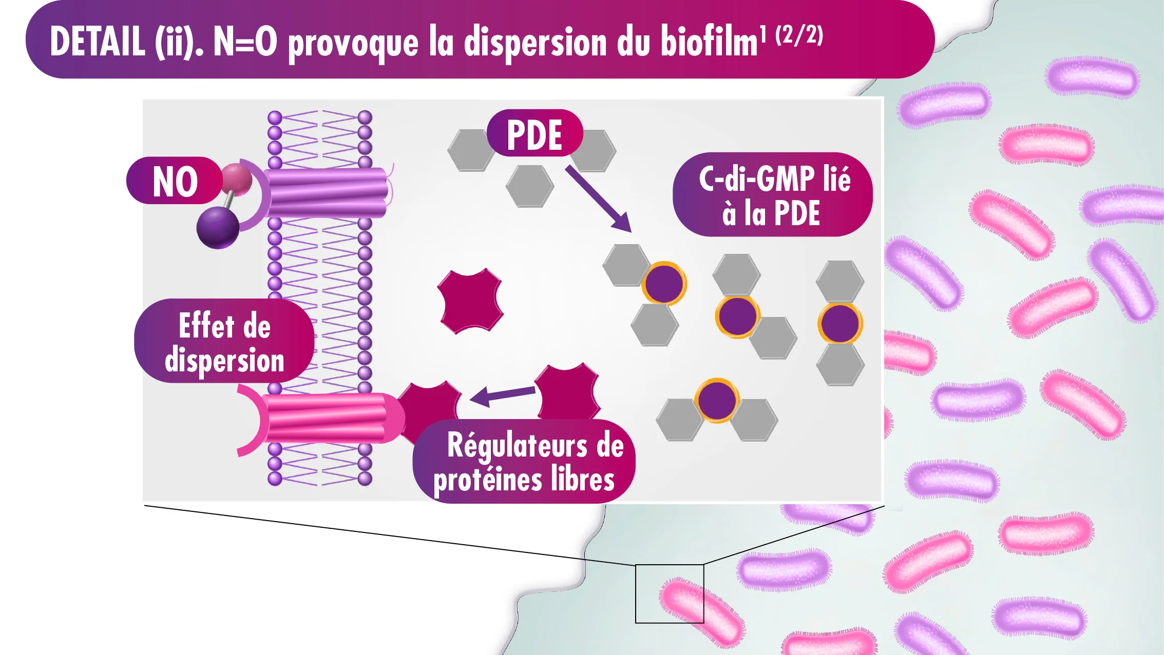 diagramme