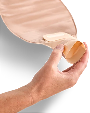 a hand holding a white mouse
