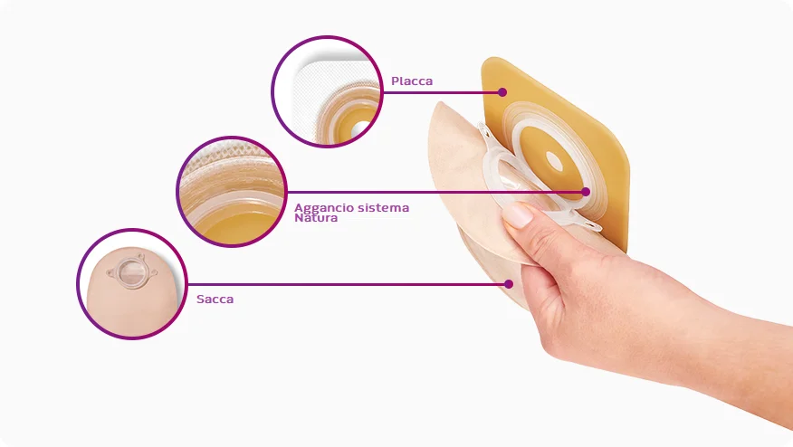 diagramma