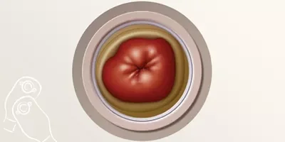 a red apple in a white bowl