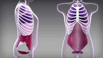 En video om tekniker för att minimera risken för parastomalt bråck genom att hantera det intraabdominella trycket.